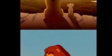 Grande Prairie meme tiger