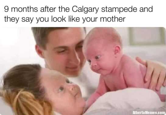 Calgary stampede baby meme