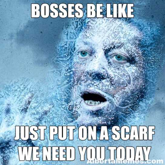 boss wants to work in cold meme