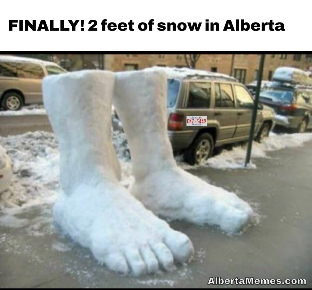 Finally There s 2 Feet Of Snow In Alberta Meme Alberta Memes Finally There s 2 Feet Of Snow In Alberta Meme Alberta Memes