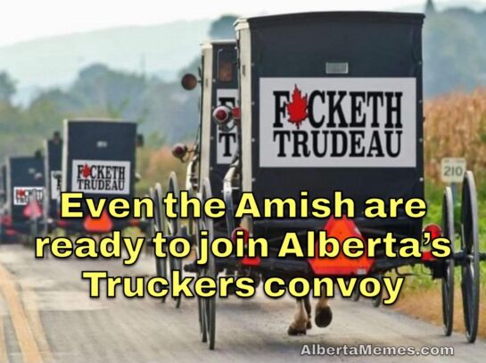 Amish F*ck Trudeau convoys